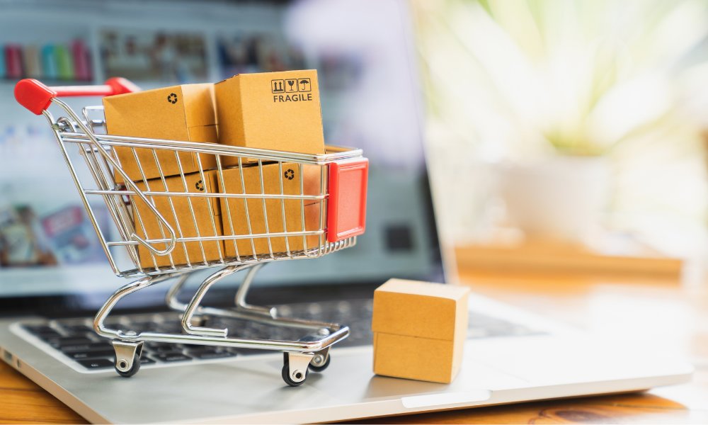 Dropshipping w Selesto