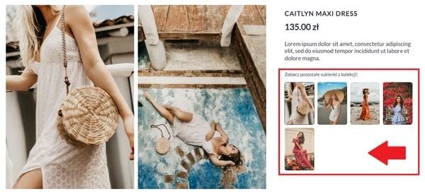 widok produktów powiązanych w sklepie