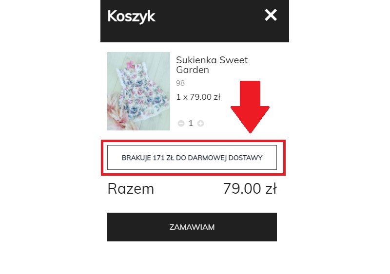 ile brakuje do darmowej dostawy