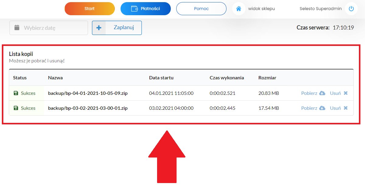 lista zaplanowanych kopii 