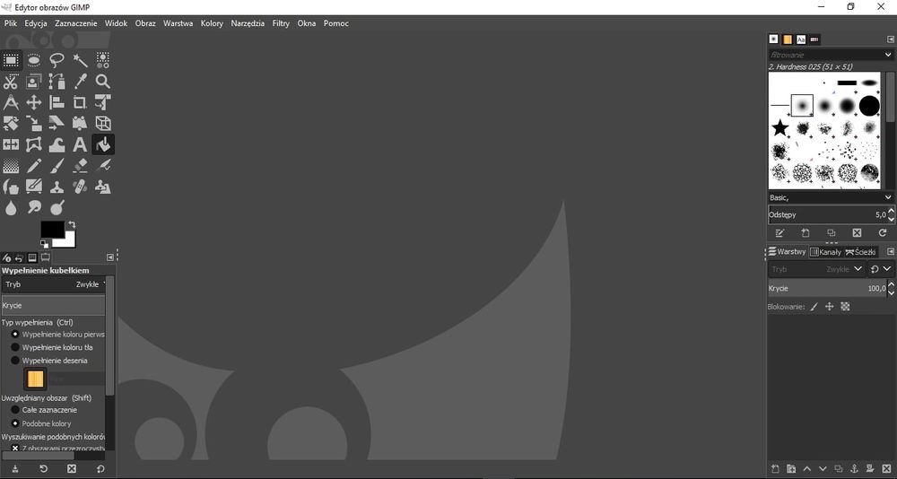 Program Gimp