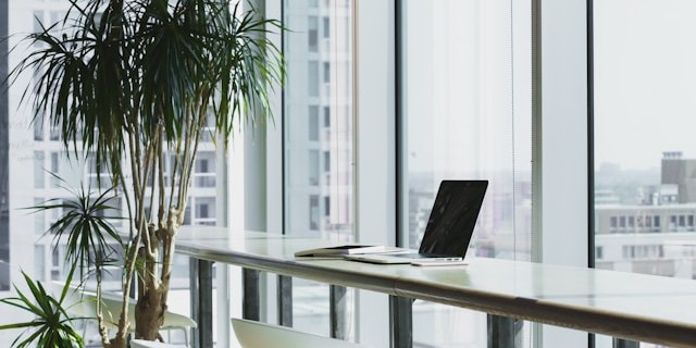 Otwarty laptop leżący na długim stole, za stołem duże przeszklone okno, koło stołu roślina doniczkowa typu palma