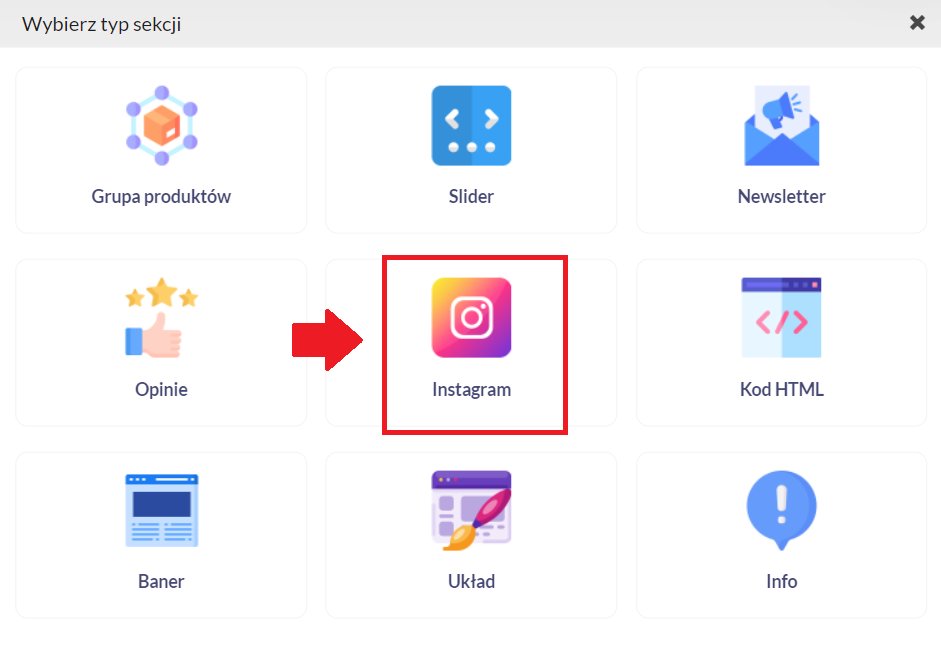 wybór sekcji instagram